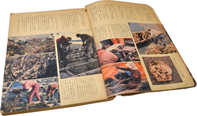 1973年(昭和53年2月1日発行)暮らしの手帳　第52号　暮らしの手帳出版社